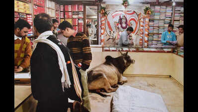 Raghu Rai, a pilgrim behind camera, who captured hidden hues of Kashi