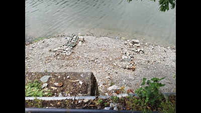 2 boatmen fined after oil film spotted on Naini Lake