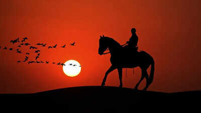 The 5 most loyal animals of history and the legends they left behind