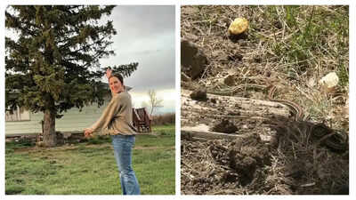 Exclusive: This Montana family discovers a den of snakes in their farmhouse; this is what happens next…