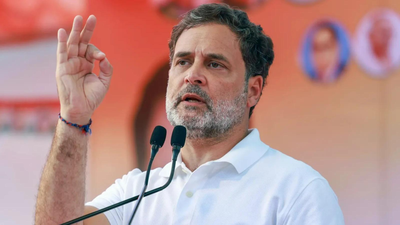 'Please speed up my returns': Rahul Gandhi's response to his 'BJP-supporter' financer wins internet