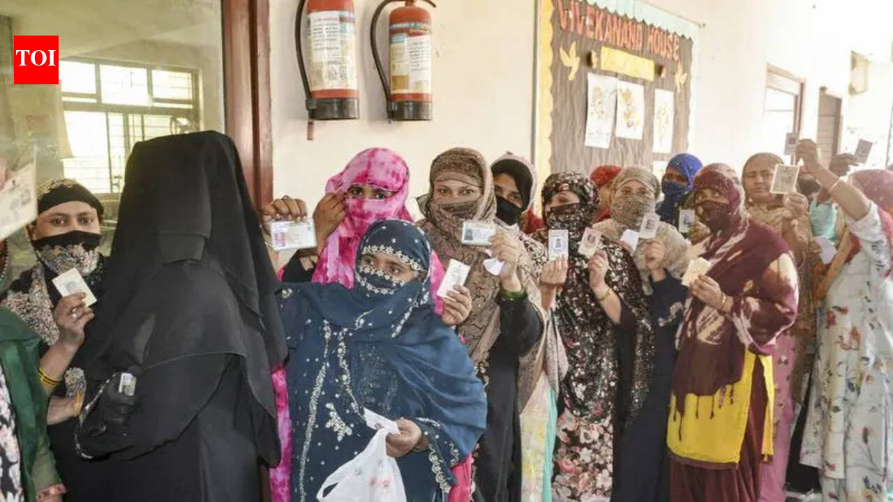 Civic body poll: Sampla tops turnout | Chandigarh News - The Times of India