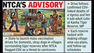 Maha orders dog vaccination drive around tiger reserves