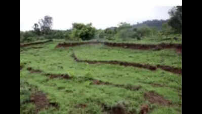 Govt to introduce property cards with valuation for all plots under proposed Land Titling Act
