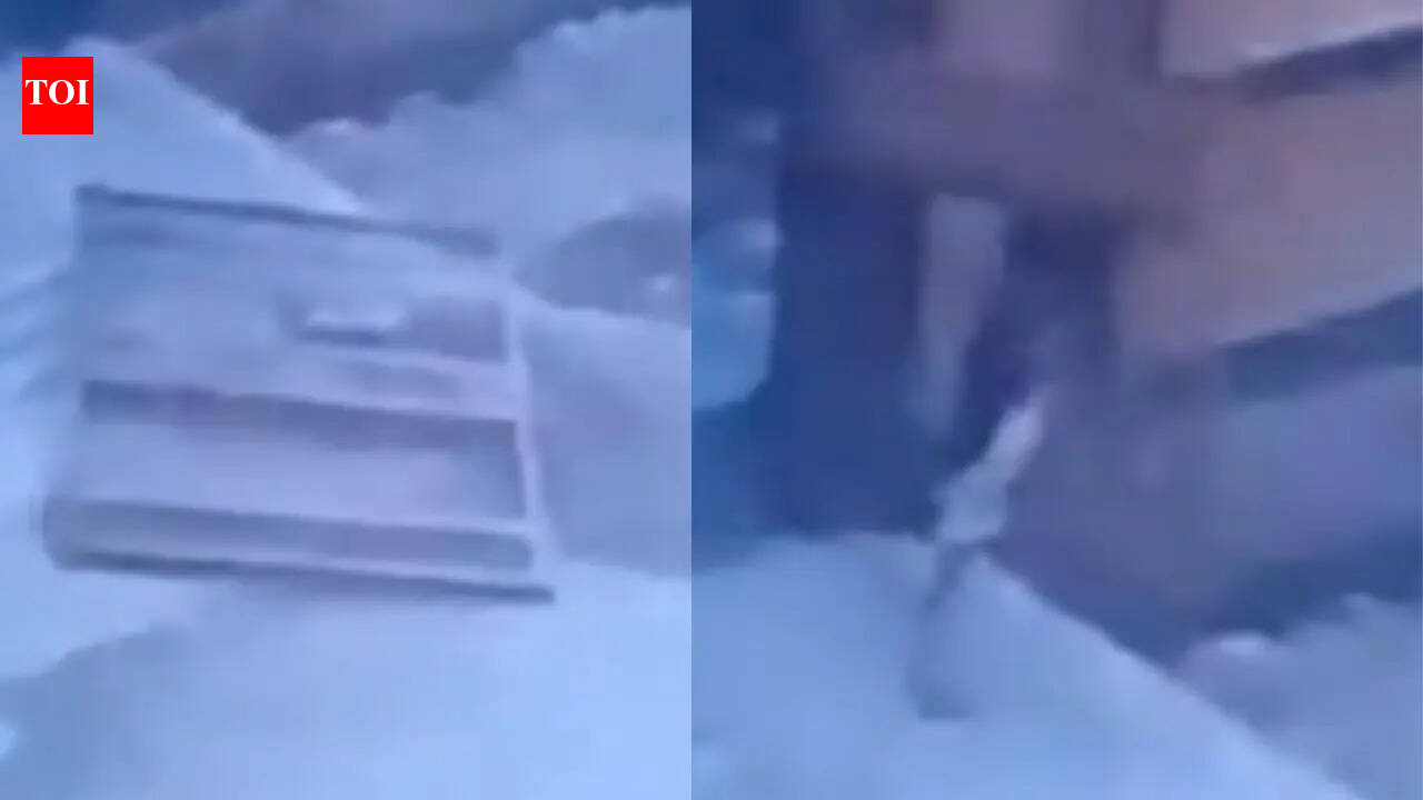 5-year-old crushed to death as heavy iron gate collapses during play in Noida