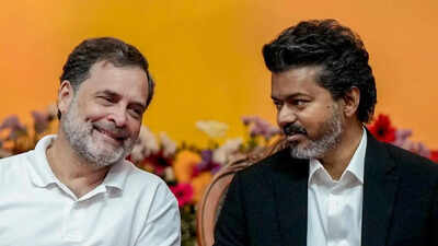 Vijay's first day as CM and a Tamil Nadu song row: What happened?