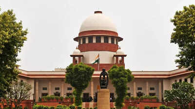 Why only wives can invoke certain divorce grounds under Hindu Marriage Act? Supreme Court weighs in