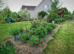 The narrow bed mistake: Why your slim front garden looks cluttered instead of elegant