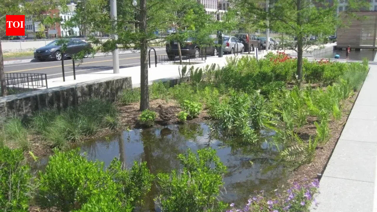 The secret to a rain garden that looks like a designer bed, not a swamp