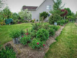 The narrow bed mistake: Why your slim front garden looks cluttered instead of elegant