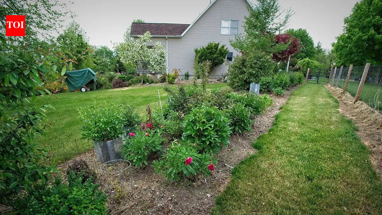 The narrow bed mistake: Why your slim front garden looks cluttered instead of elegant