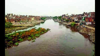888 illegal colonies drain sewage into Hindon, UP tells NGT