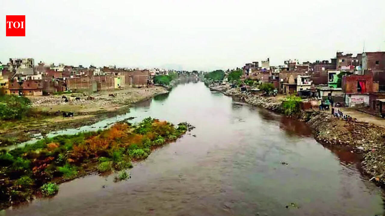 888 illegal colonies drain sewage into Hindon, UP tells NGT