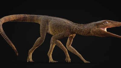 Crocodile named in honor of a schoolteacher: 215-million-year-old species discovered in Britain