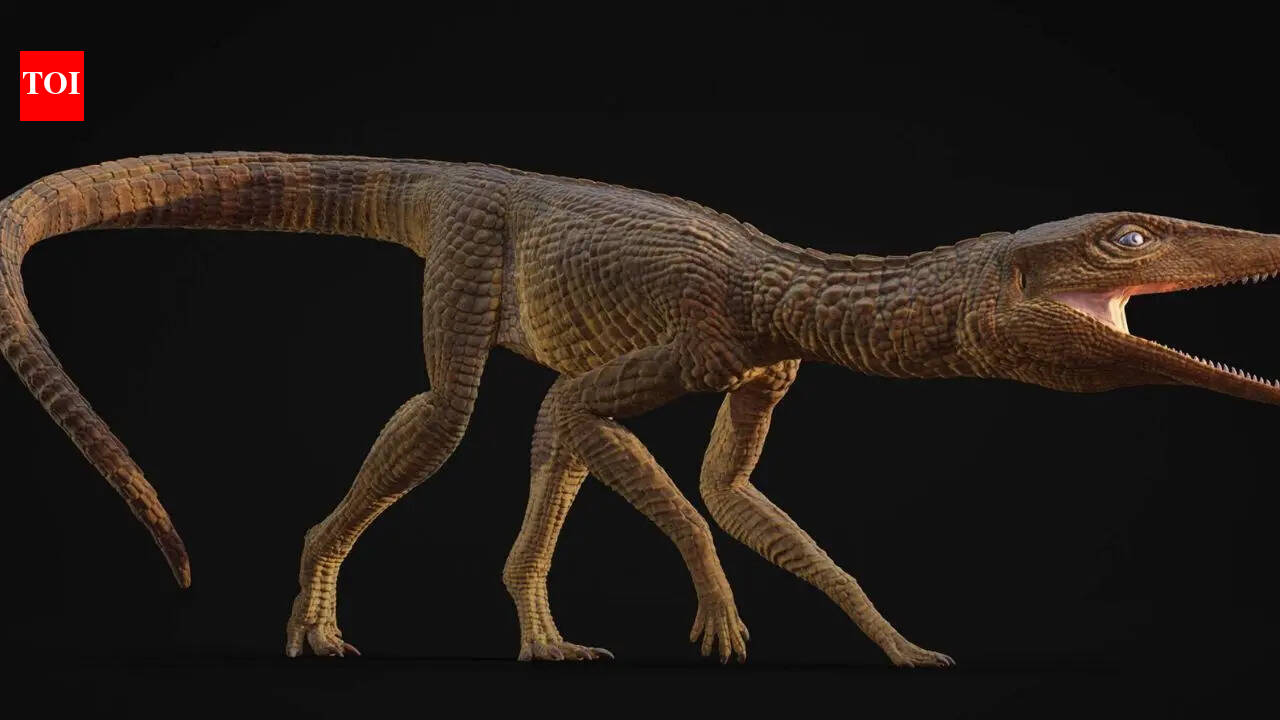 Crocodile named in honour of a schoolteacher: 215-million-year-old species discovered in Britain