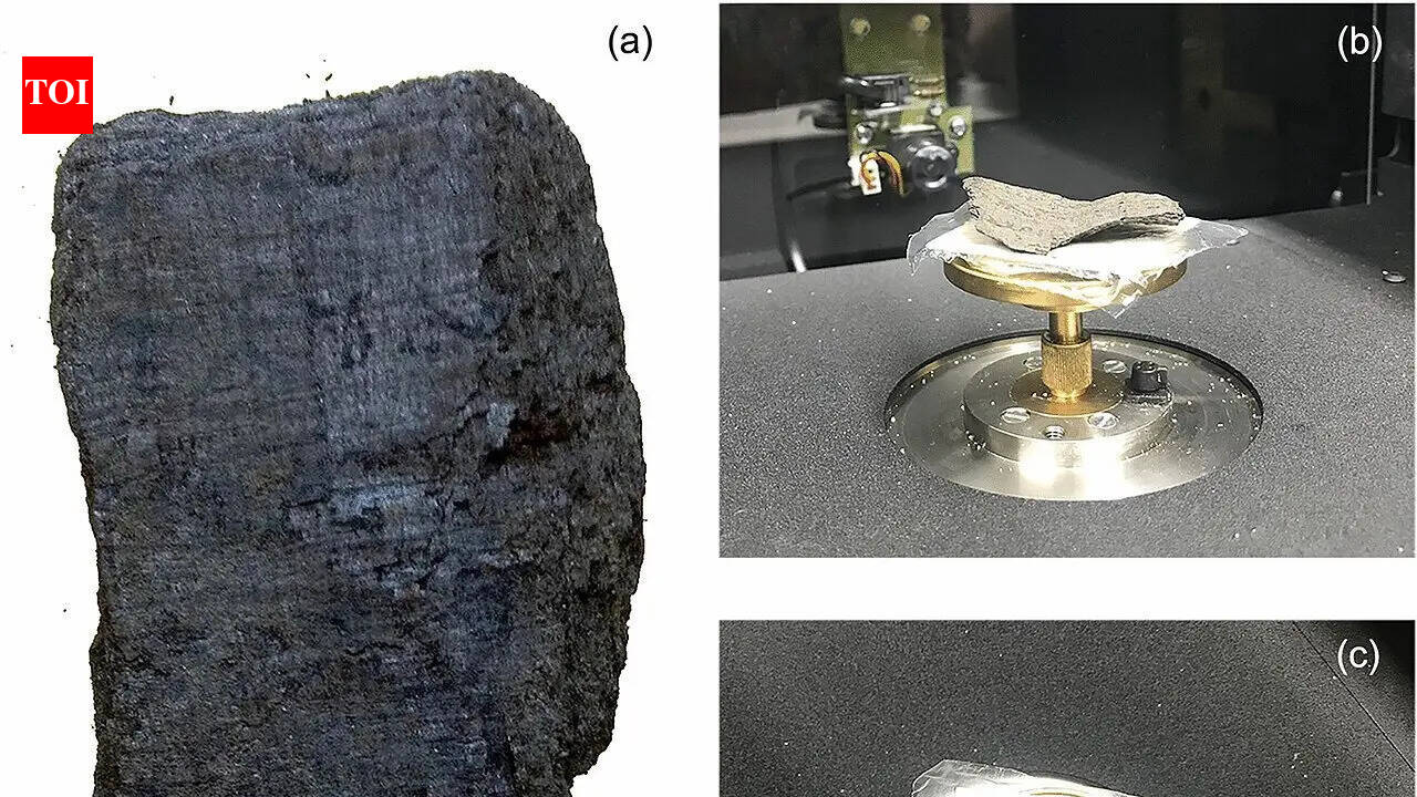 In the 1750s, labourers digging a well near Herculaneum found 'charcoal' rolls that were actually a lost Roman library
