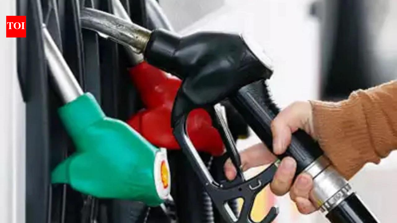 India has enough petrol, diesel and LPG stocks; no fuel rationing planned: Centre