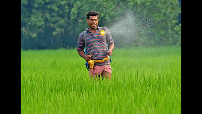 Govt should bring policy to reduce fertilizer use: Farmer leaders