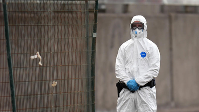 Hantavirus most contagious at onset of symptoms, WHO warns amid cruise ship outbreak