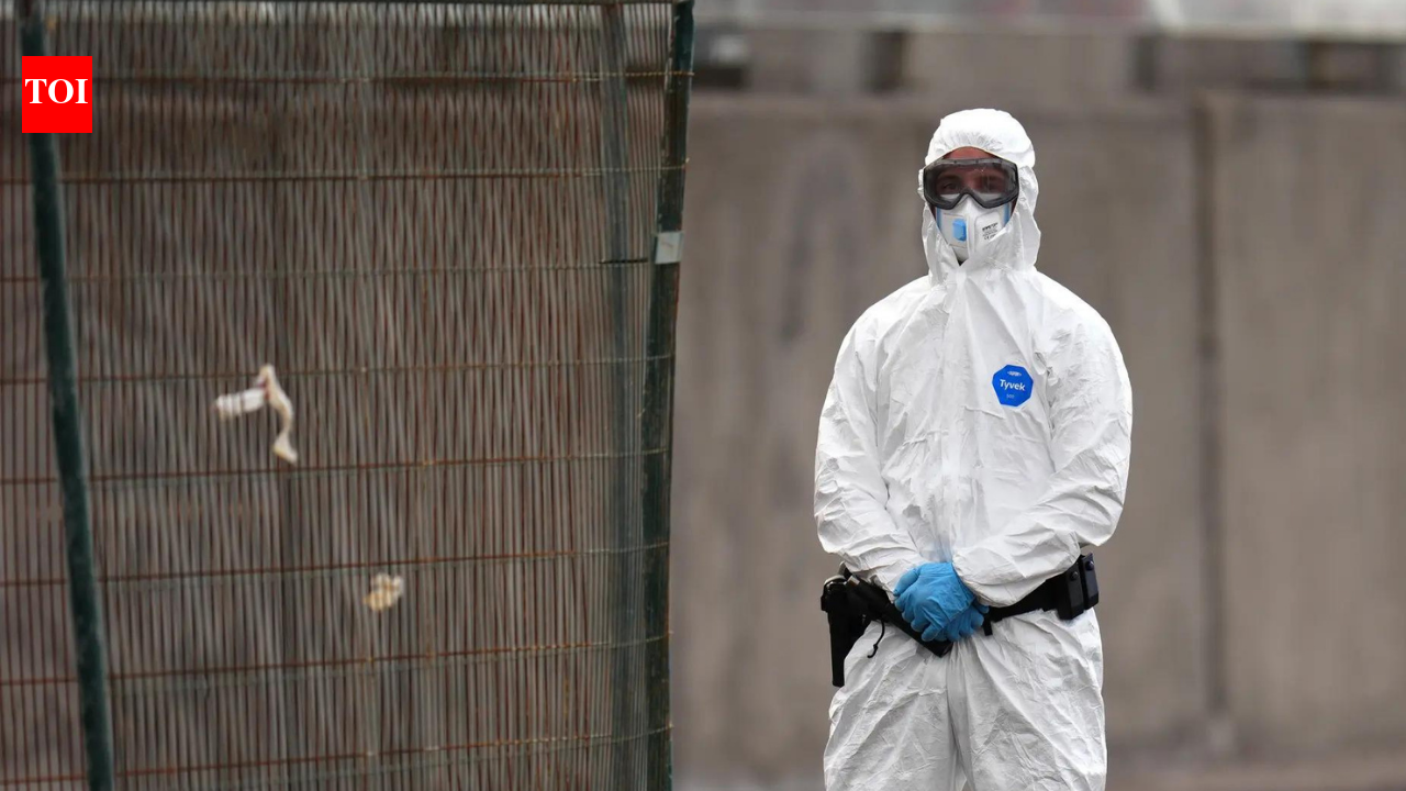 Hantavirus most contagious at onset of symptoms, WHO warns
