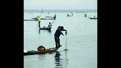 Govt vows to plant 10 times the no. of trees felled near Deepor Beel