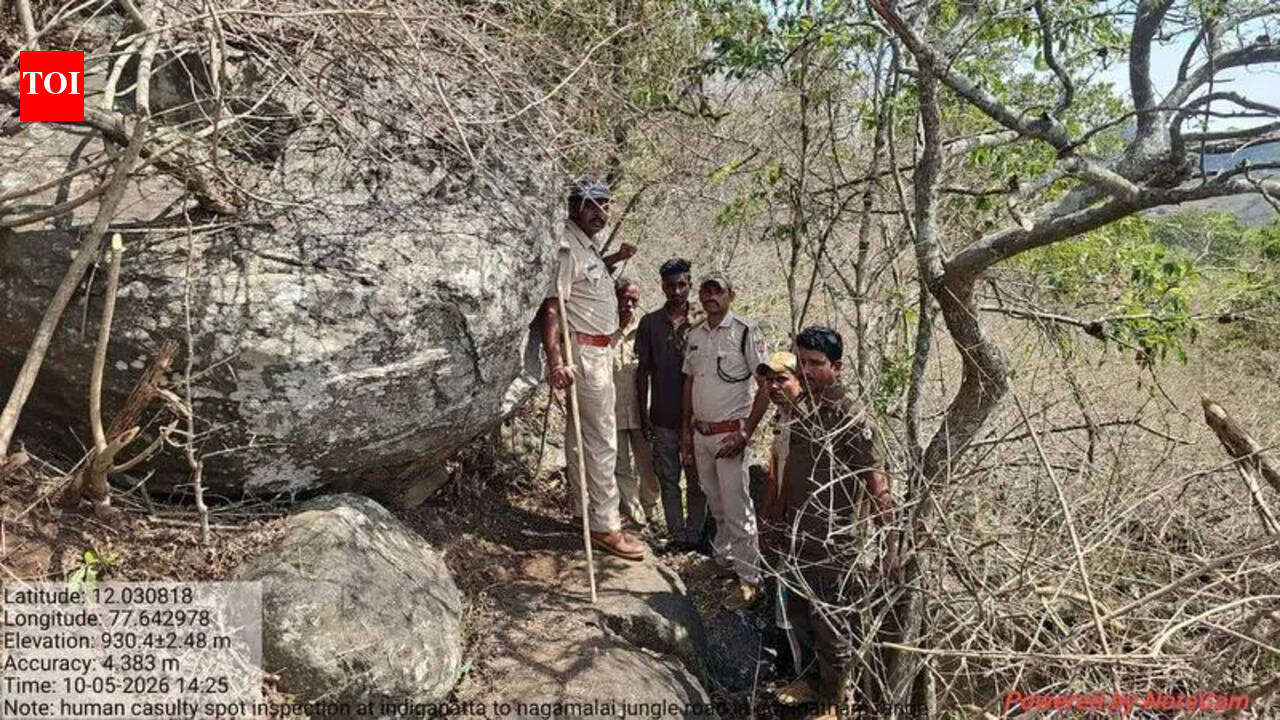 Leopard kill sparks fresh fear in MM Hills, Cauvery sanctuaries