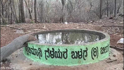 Bidar youth turn lifeline for thirsty wildlife