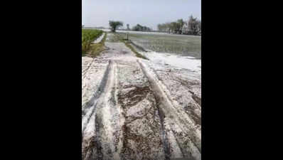 Storms batter Punjab, Haryana, HP; widespread damage reported