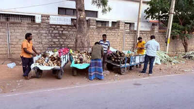 Harsh summer drives ice apple demand as TN traders thrive in Karnataka