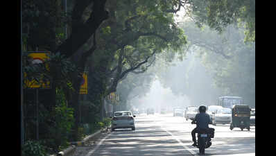 More trees doesn't always mean less heat: IIT-Gn study