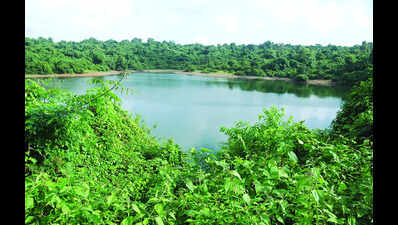 Health dept cautions against swimming in and drinking stagnant water to beat extreme heat