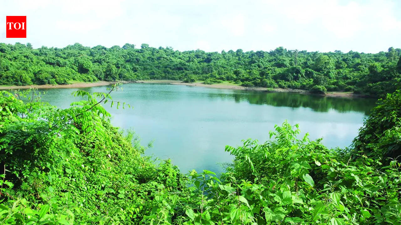 Health dept cautions against swimming in and drinking stagnant water to beat extreme heat
