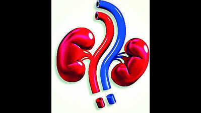 Heatwave triggers surge in dehydration-linked kidney problems across NCR
