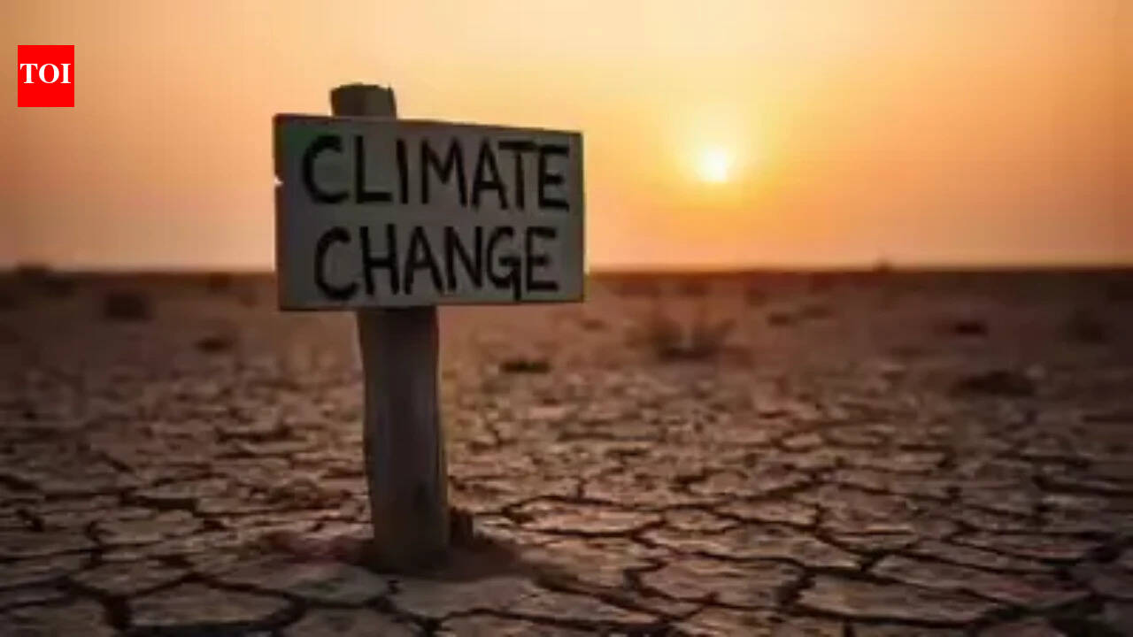 New Zealand moves to halt lawsuits over climate damage