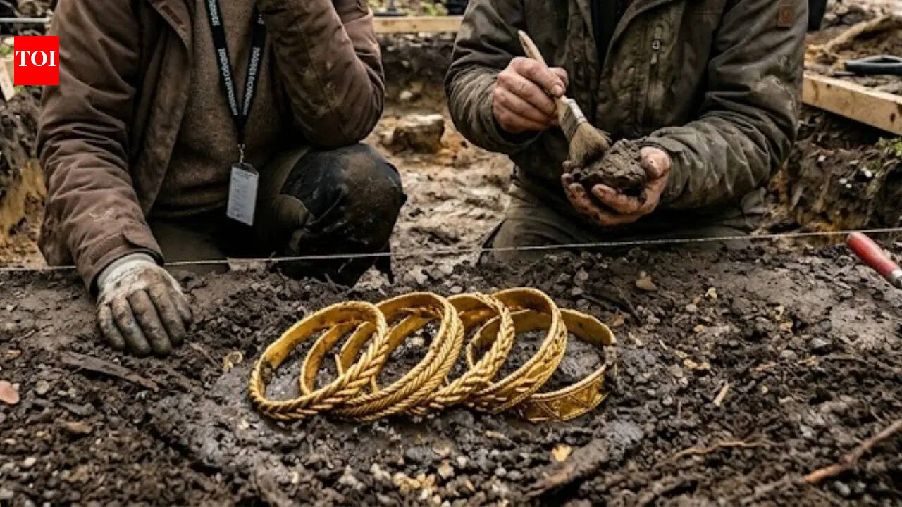 This 1,000-year-old Viking treasure found in Denmark contains nearly pure gold arm rings