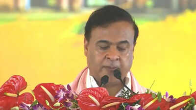 Assam cabinet expansion: Know who all sworn in as ministers in Himanta Biswa Sarma govt