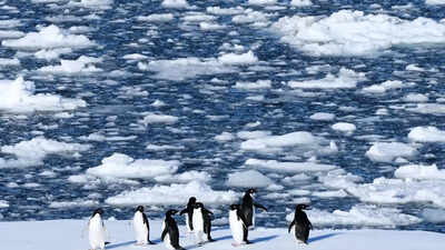 Antarctic talks in Japan: key things to know