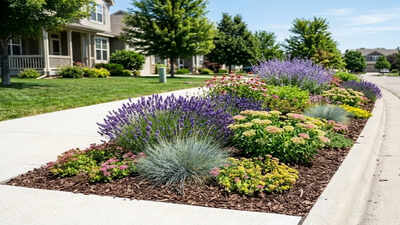 These low-water plants make sunny sidewalk strips look expensive with less watering