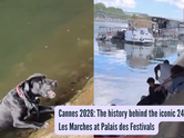 Peak humanity: Parisians form a human chain to save a drowning pup from the Seine River