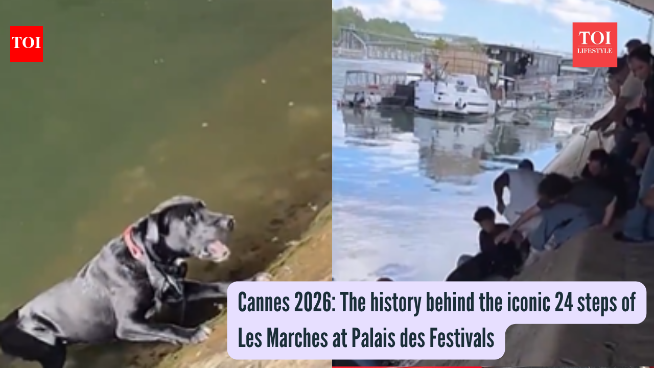 Peak humanity: Parisians form a human chain to save a drowning pup from the Seine River