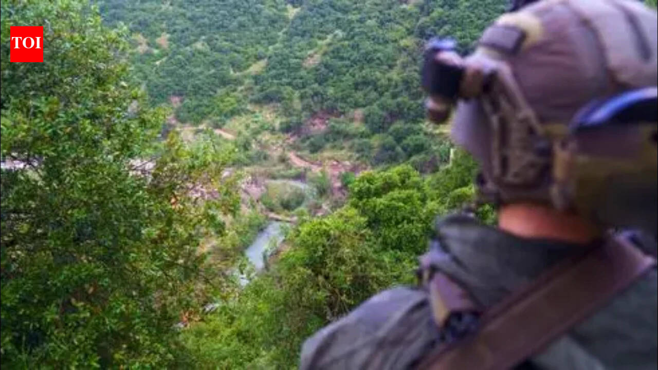 Israeli troops conduct raid along south Lebanon's Litani river