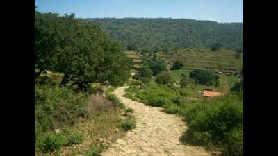 Karnataka suspends trekking activities on forest trails with wildlife movement