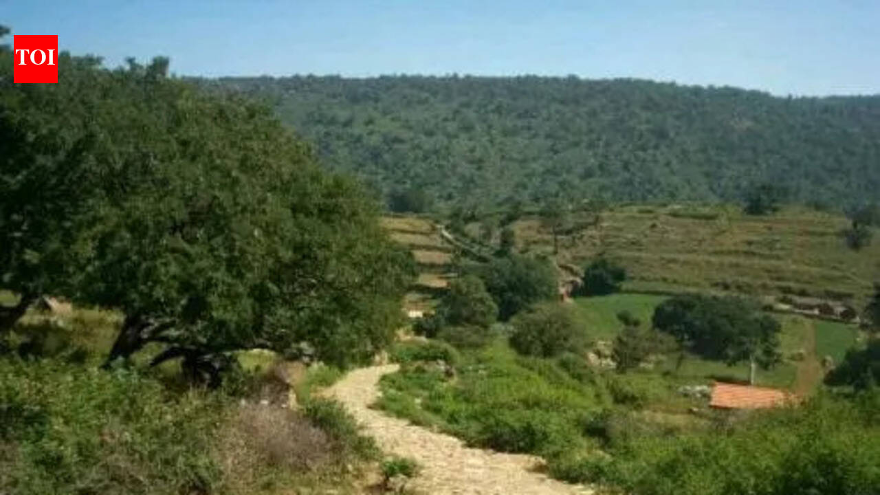 Karnataka suspends Trekking activities on forest trails with wildlife movement