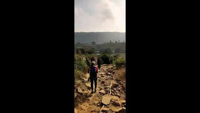 Karnataka suspends trekking activities on forest trails with wildlife movement