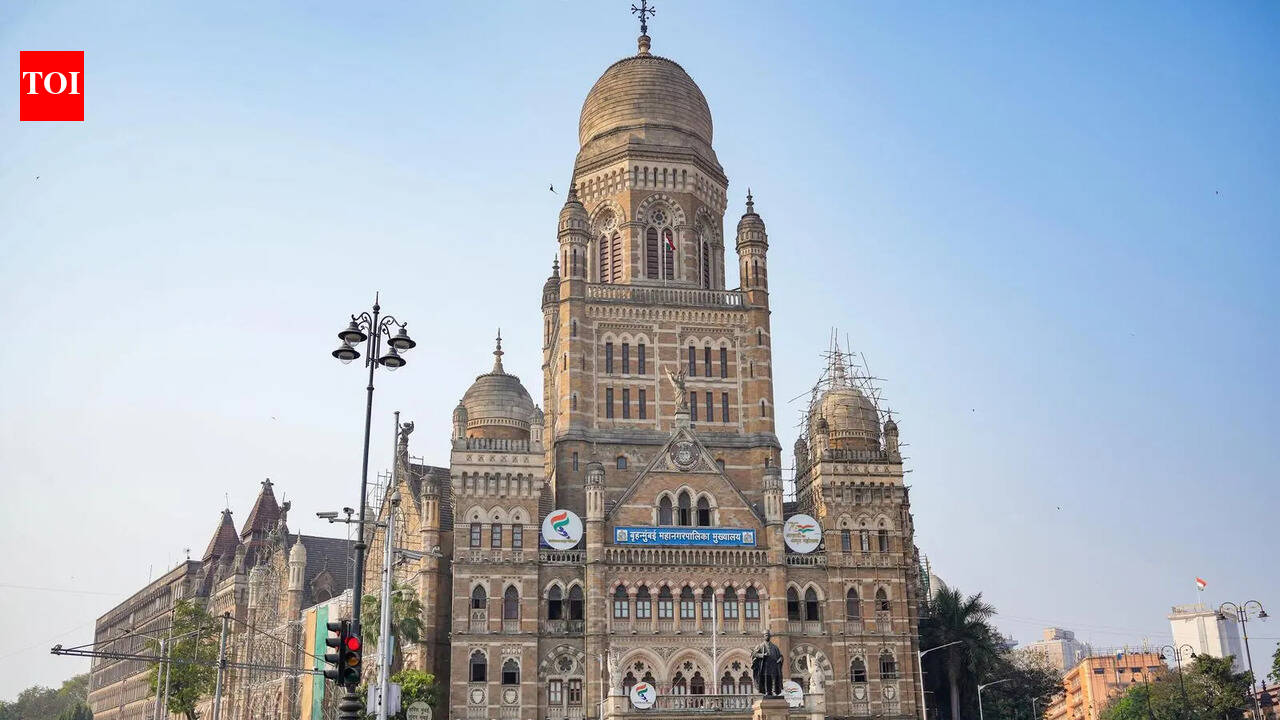 Checking nationality cops’ job: BMC doctor suspended in birth certificates case