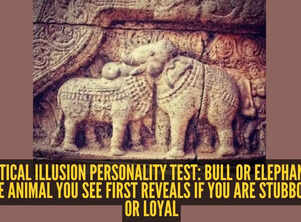 Optical illusion personality test: Bull or elephant? The animal you see first reveals if you are stubborn or loyal