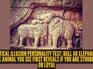 Optical illusion personality test: Bull or elephant? The animal you see first reveals if you are stubborn or loyal