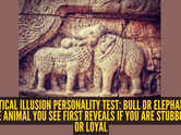 Optical illusion personality test: Bull or elephant? The animal you see first reveals if you are stubborn or loyal