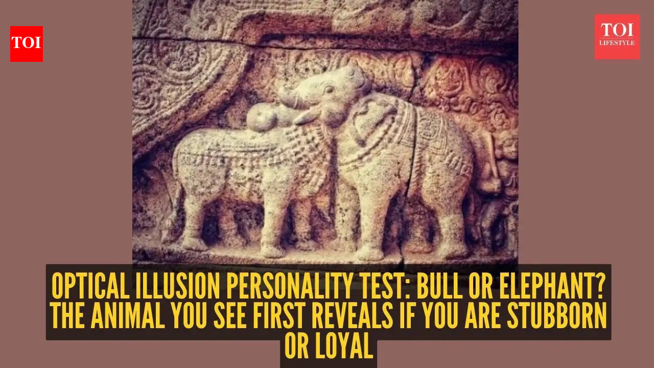 Optical illusion personality test: Bull or elephant? The animal you see first reveals if you are stubborn or loyal