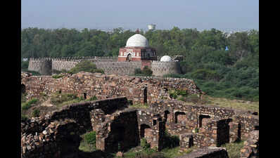Tughlaqabad Fort Survey work gets stalled